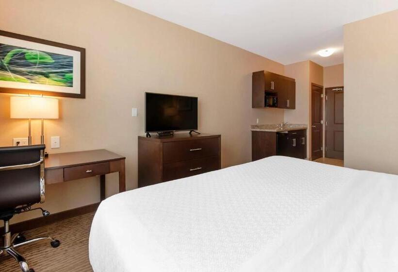 身障者適用キングサイズベッドルーム, Best Western Plus Moosomin