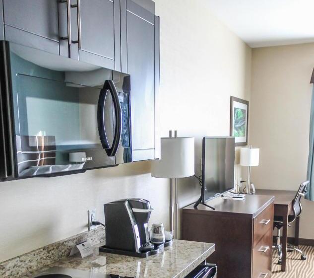 身障者適用スタンダードルーム, Best Western Plus Moosomin