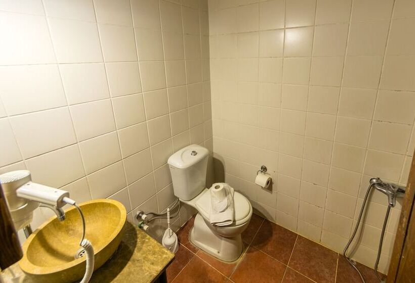 اتاق استاندارد, Elite Cave Suites