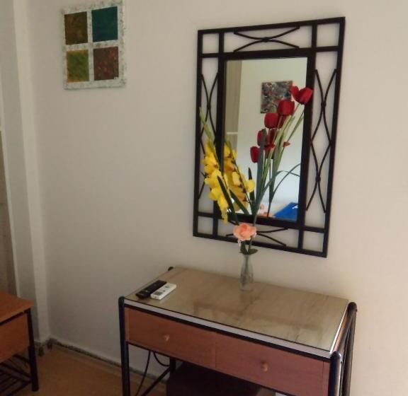 标准工作室带阳台, Rea