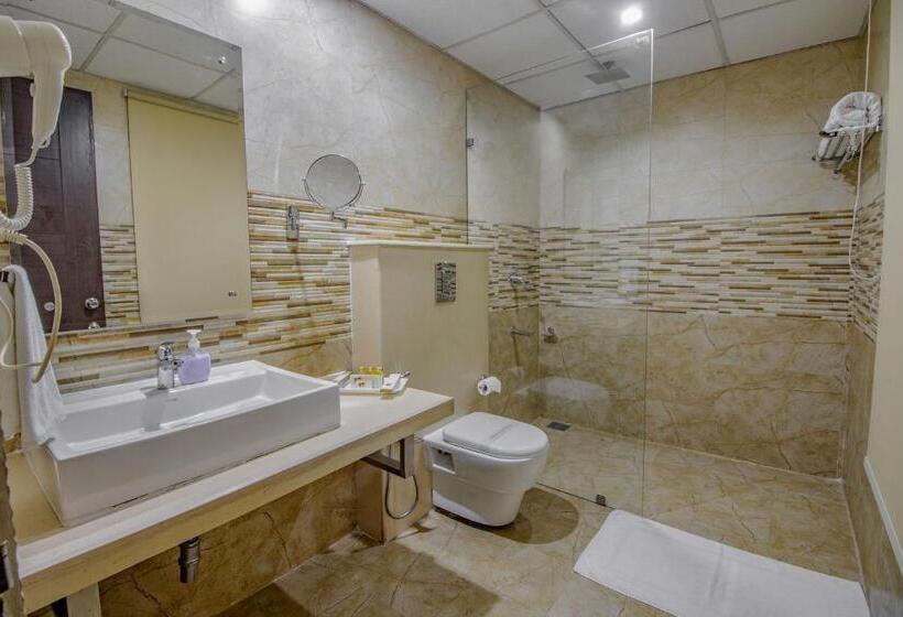 غرفة تنفيذية, Snow Valley Resorts Shimla