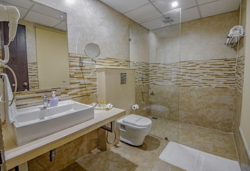 غرفة قياسية لذوى الاحتياجات الخاصة, Snow Valley Resorts Shimla