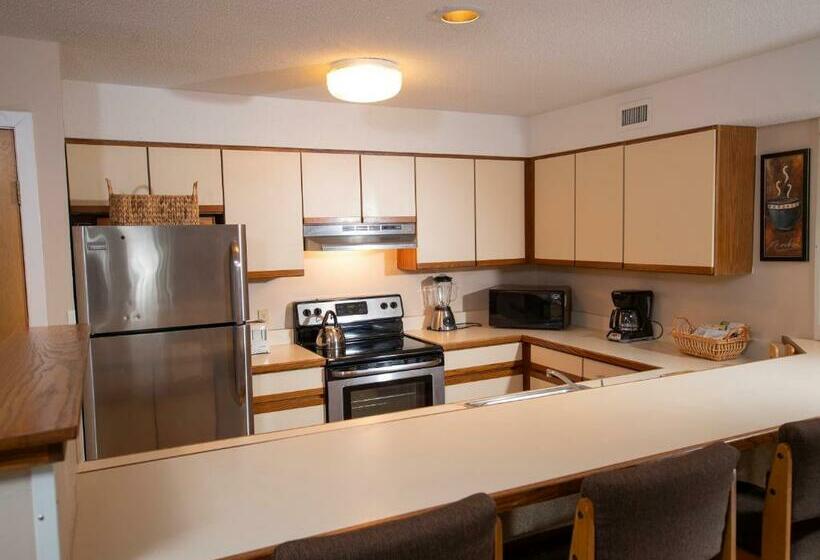 آپارتمان 1 خوابه, Mountain Lodge At Okemo