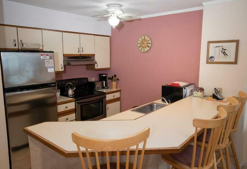 سوییت, Mountain Lodge At Okemo