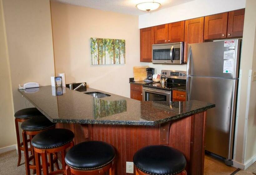 سوییت, Mountain Lodge At Okemo