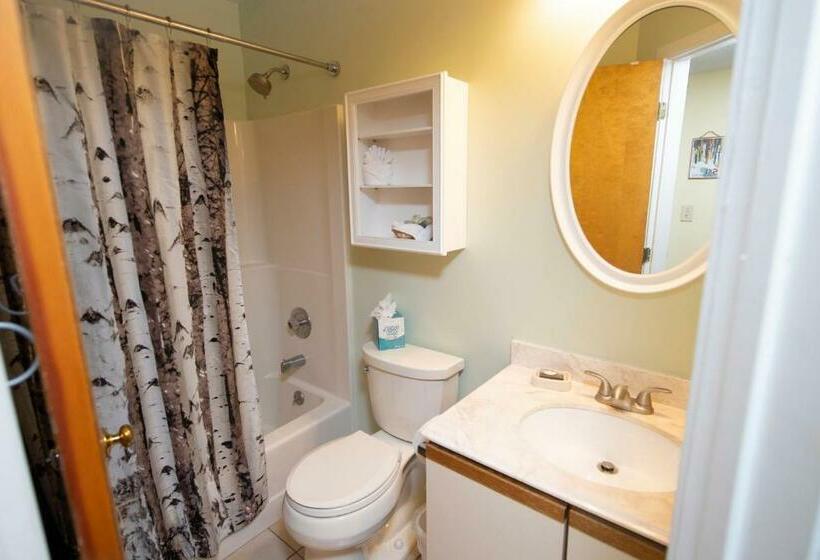 آپارتمان 1 خوابه, Mountain Lodge At Okemo