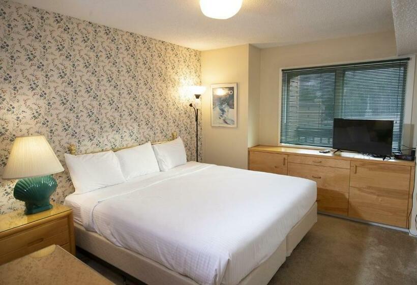 آپارتمان 1 خوابه, Mountain Lodge At Okemo