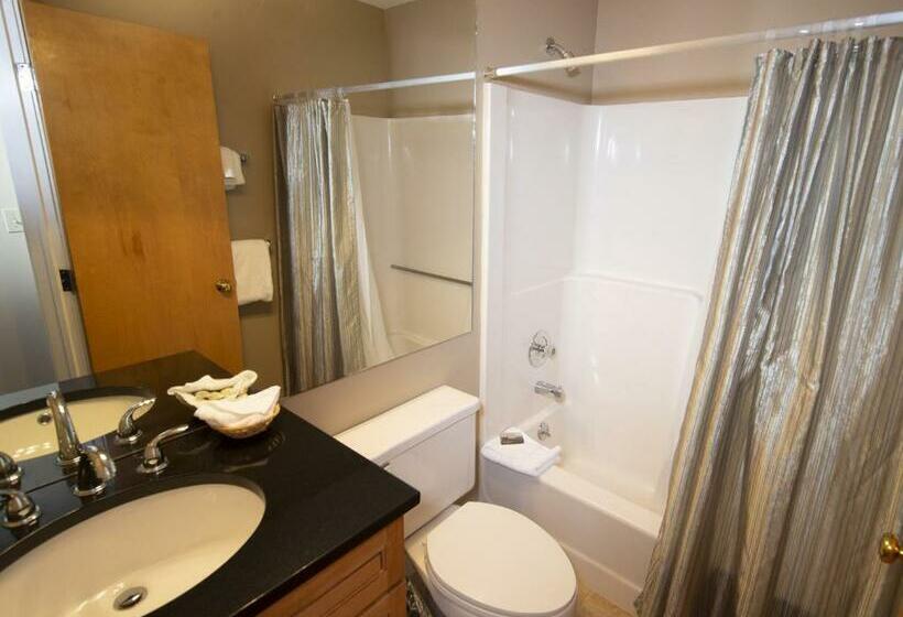 آپارتمان 1 خوابه, Mountain Lodge At Okemo