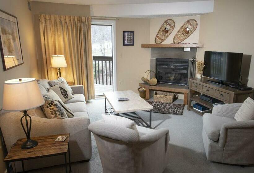 آپارتمان 1 خوابه, Mountain Lodge At Okemo