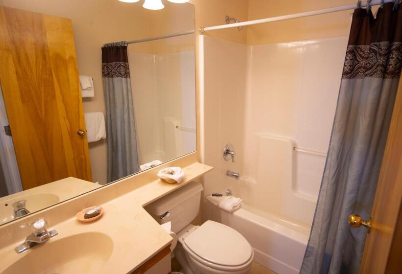 آپارتمان 1 خوابه, Mountain Lodge At Okemo