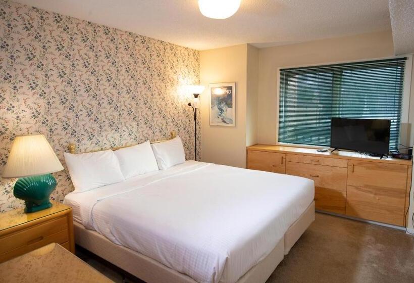 آپارتمان 1 خوابه, Mountain Lodge At Okemo