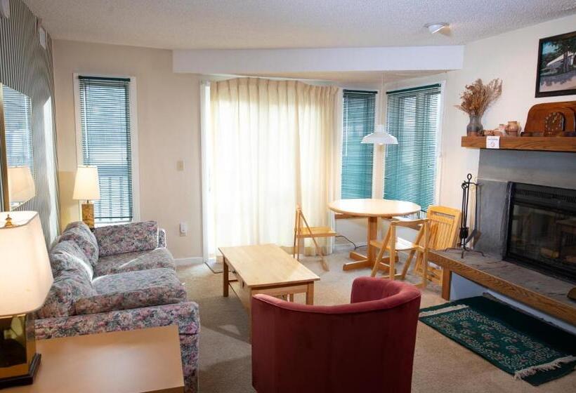 آپارتمان 1 خوابه, Mountain Lodge At Okemo