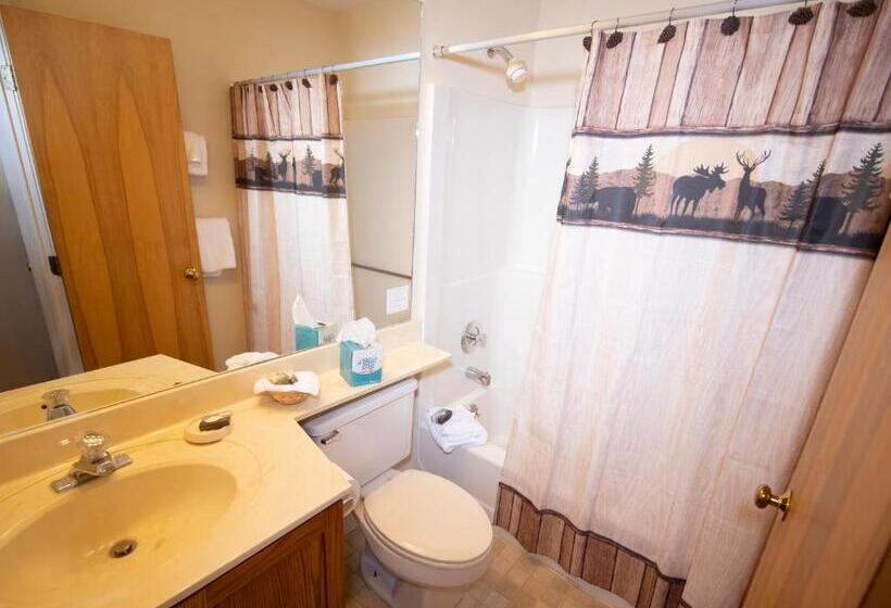 آپارتمان 1 خوابه, Mountain Lodge At Okemo