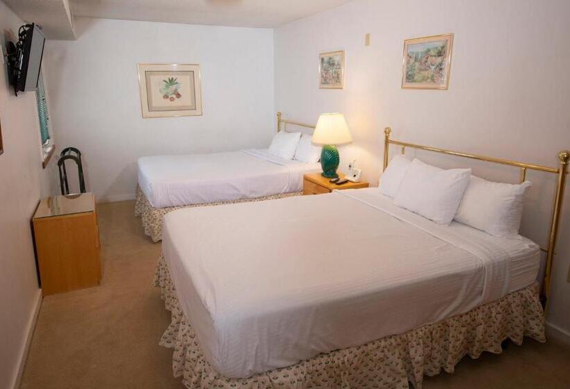 Четырехместный Номер Стандарт, Mountain Lodge At Okemo