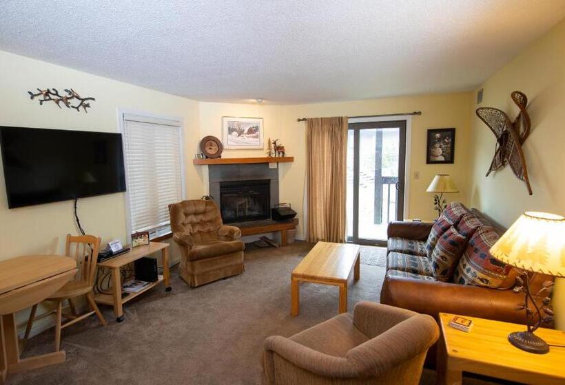 آپارتمان 1 خوابه, Mountain Lodge At Okemo