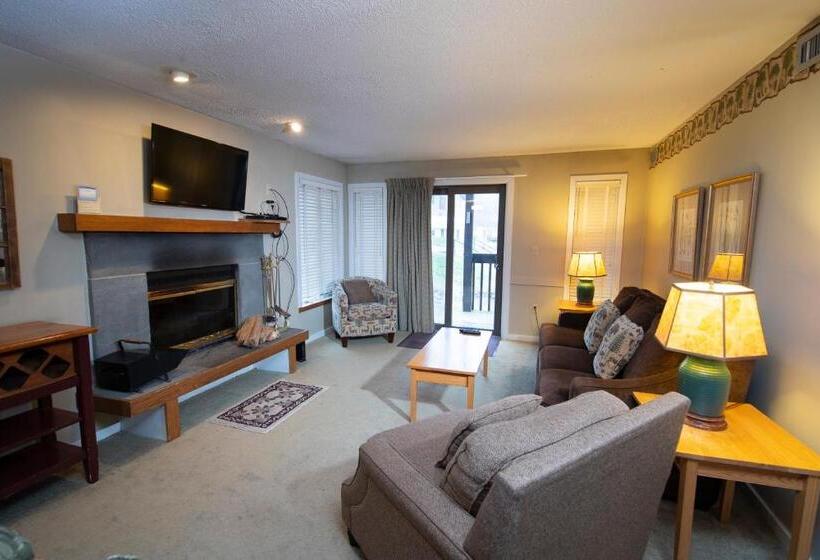 آپارتمان 1 خوابه, Mountain Lodge At Okemo