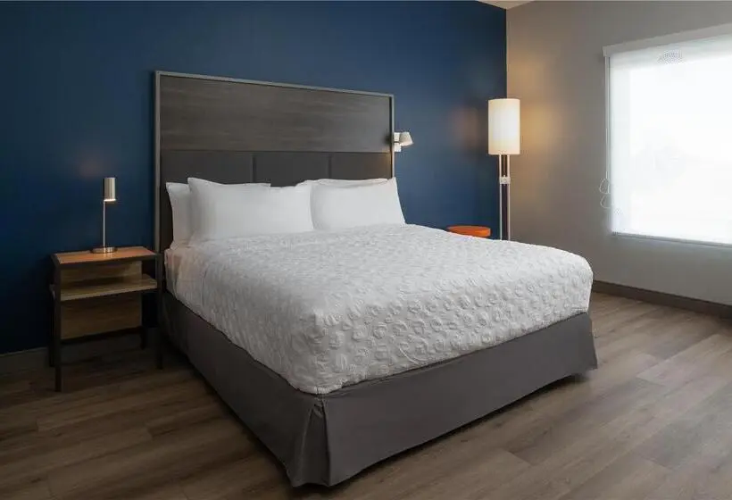 身障者適用キングサイズベッドルーム, Clarion Hotel The Colony   Plano West