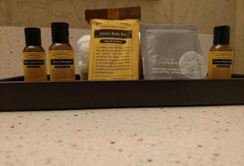 جناح سرير كينج, Best Western Plus Dayton