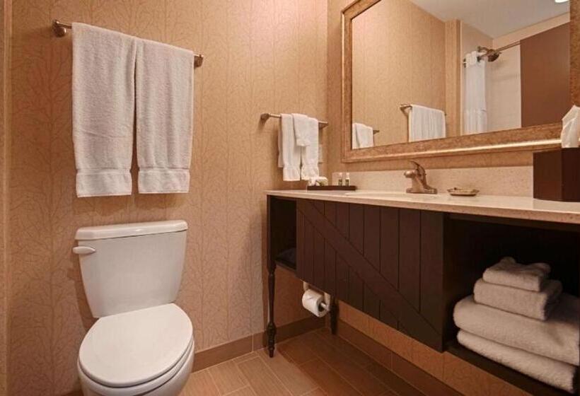Люкс Кровать Кинг, Best Western Plus Dayton