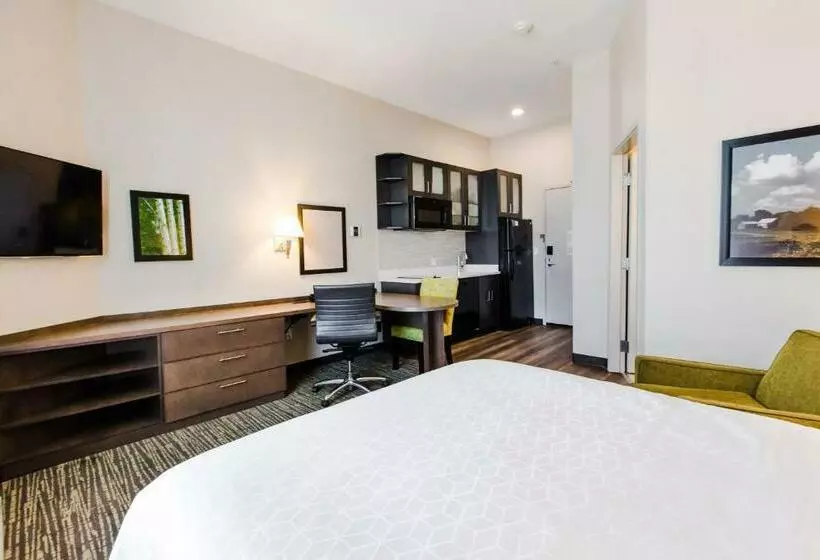 スタンダードスタジオ, Candlewood Suites West Edmonton   Mall Area, An Ihg