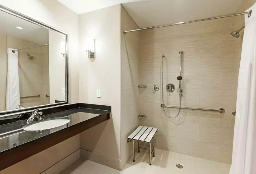 Standard-invahuone King-vuode, Clarion Hotel The Colony Plano West