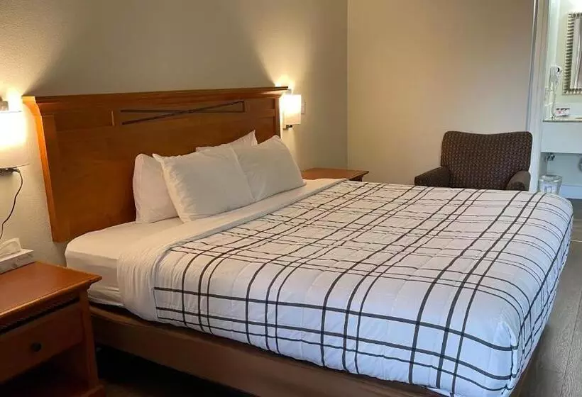 キングサイズベッドのスタンダードルーム, Morgan Inn And Suites Walla Walla