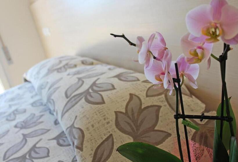 スタンダードルーム, Silvia