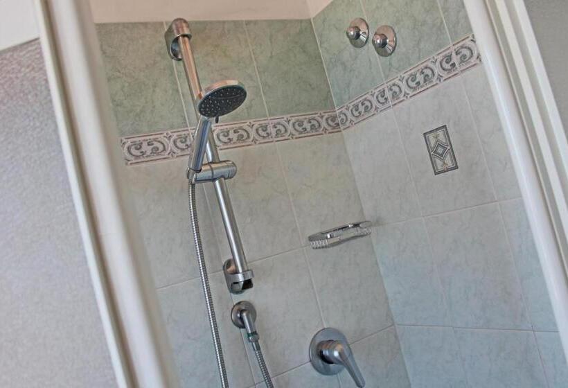 スタンダードルーム, Silvia