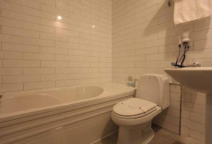 Cameră Deluxe, Vatica Hotel Dongdaemun