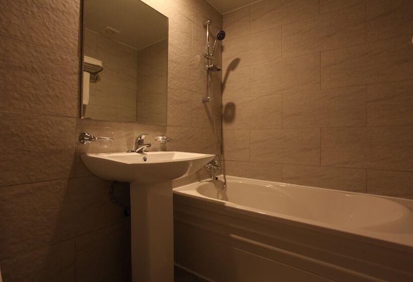 Standart Oda, Vatica Hotel Dongdaemun
