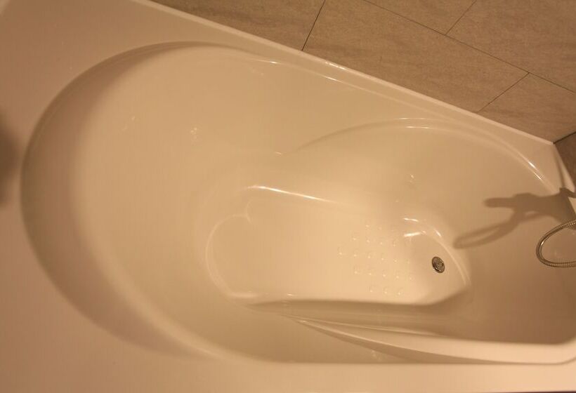 Cameră Deluxe, Vatica Hotel Dongdaemun