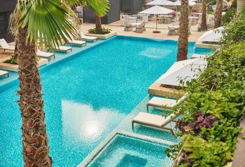 سوئیت با تخت بزرگ, Four Seasons Hotel Casablanca