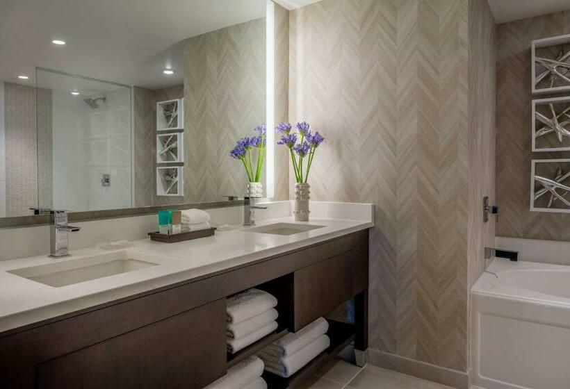 Номер Стандарт, Hyatt Regency Aurora Denver Conference Center