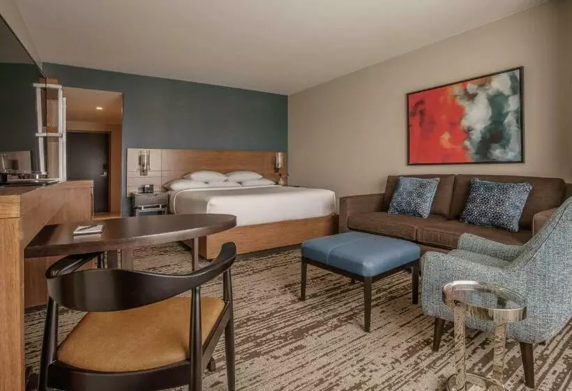 キングサイズベッドのデラックスルーム, Hyatt Regency Aurora Denver Conference Center