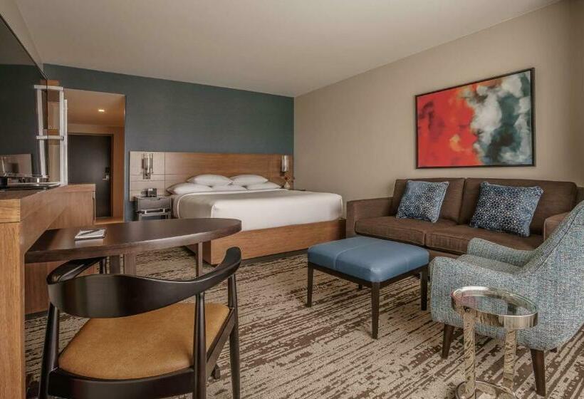 Стандартный Номер Кровать Кинг, Hyatt Regency Aurora Denver Conference Center