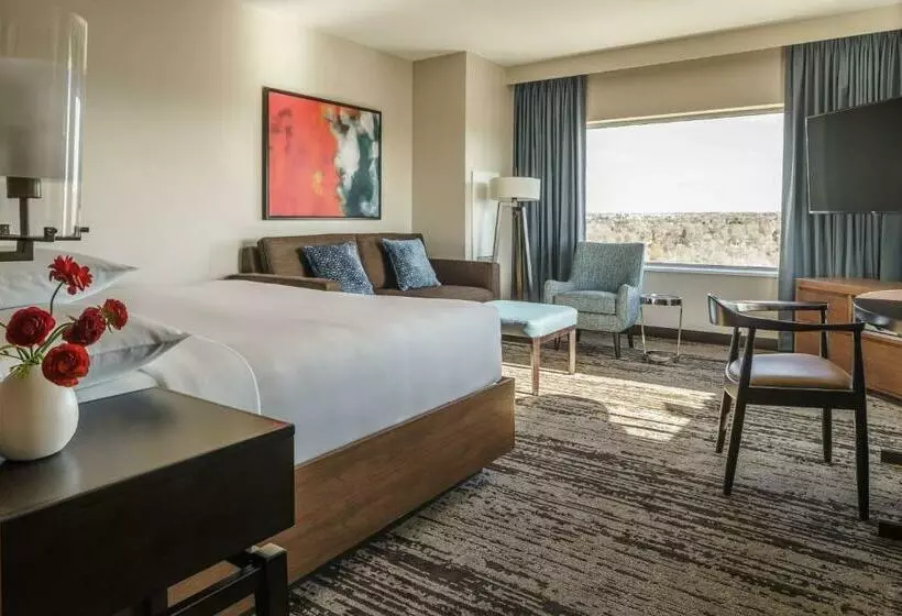 キングサイズベッドのデラックスルーム, Hyatt Regency Aurora Denver Conference Center