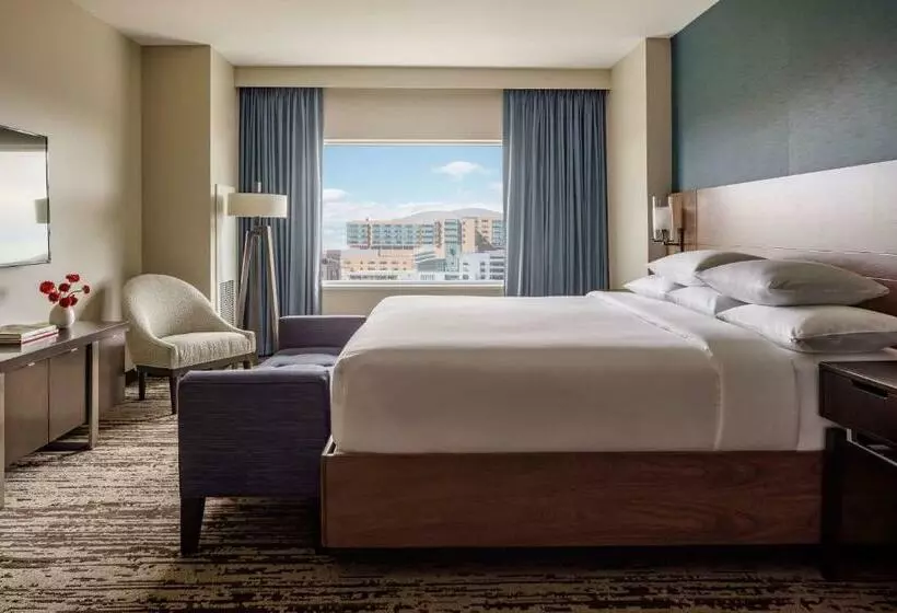 キングサイズベッドのスタンダードルーム, Hyatt Regency Aurora Denver Conference Center