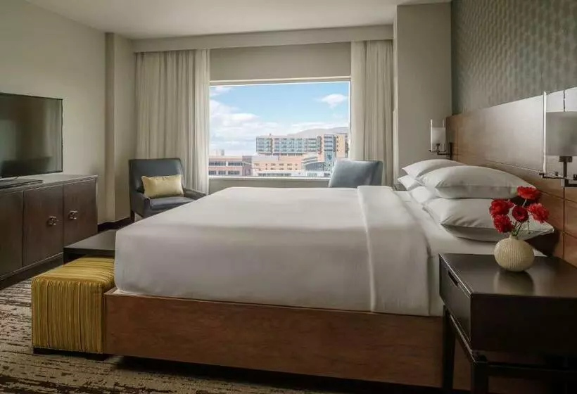 キングサイズベッドのスタンダードルーム, Hyatt Regency Aurora Denver Conference Center