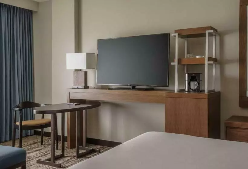 キングサイズベッドのデラックスルーム, Hyatt Regency Aurora Denver Conference Center