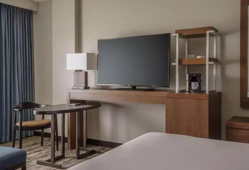 身障者適用キングサイズベッドルーム, Hyatt Regency Aurora Denver Conference Center