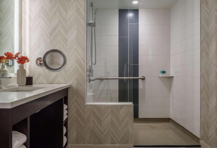 Номер Стандарт Кровать Кинг Адаптированный для Инвалидов, Hyatt Regency Aurora Denver Conference Center