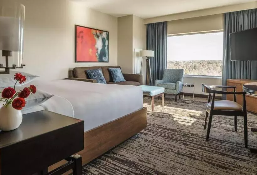 身障者適用キングサイズベッドルーム, Hyatt Regency Aurora Denver Conference Center