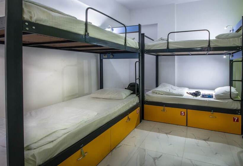 تختخواب در اتاق مشترک, Backpacker Panda Appetite Mumbai