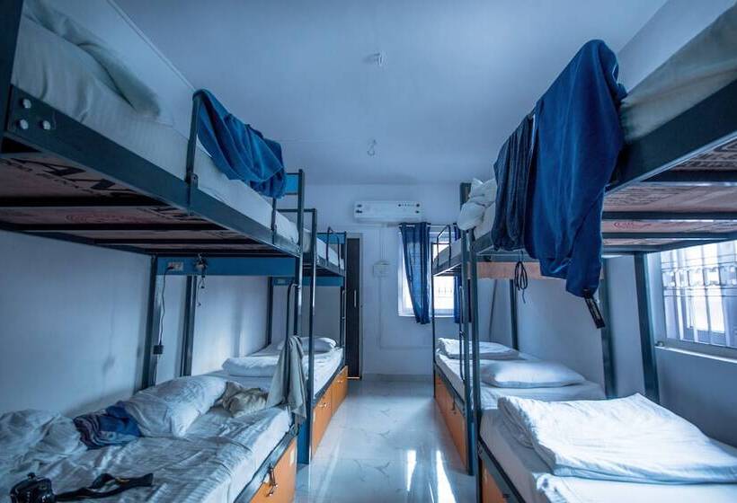 تختخواب در اتاق مشترک, Backpacker Panda Appetite Mumbai