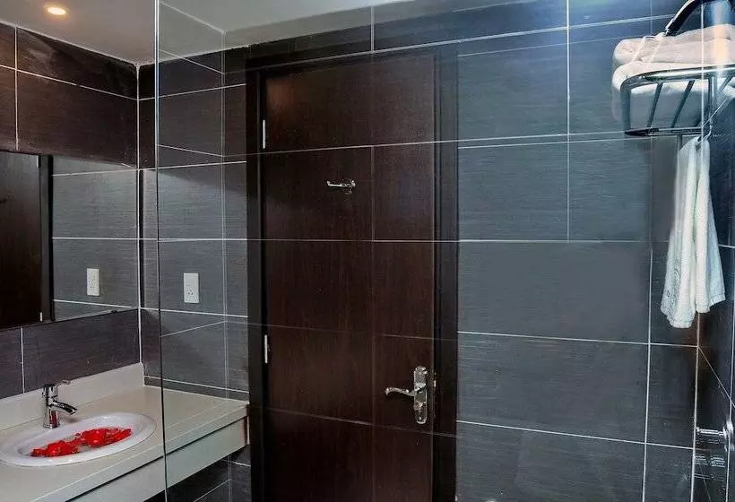 اتاق سوپریور, Begonia Nha Trang