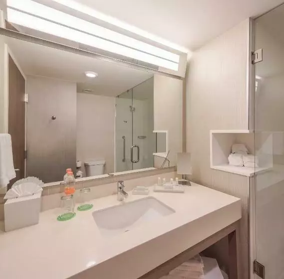 اتاق استاندارد, Courtyard by Marriott Chihuahua