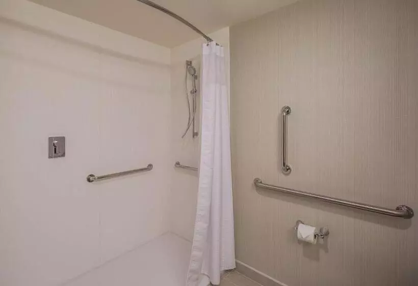 اتاق استاندارد با تخت بزرگ, Courtyard by Marriott Chihuahua
