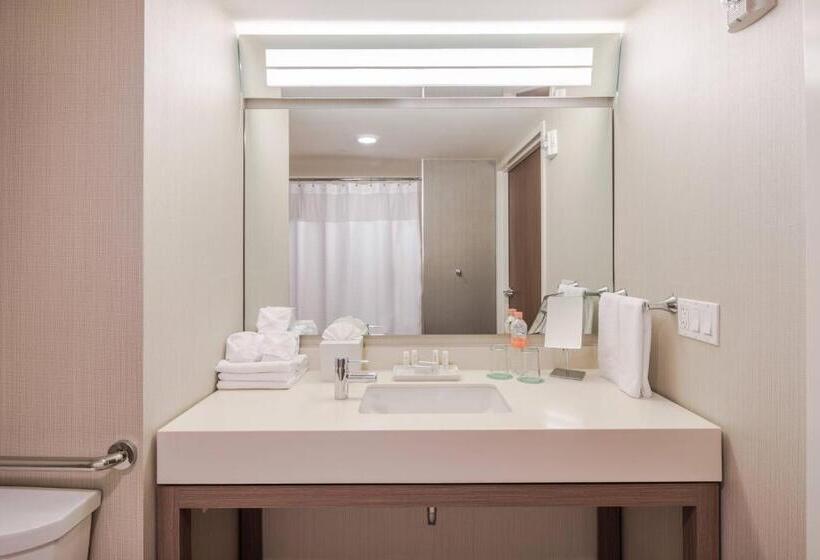 اتاق استاندارد با تخت بزرگ, Courtyard by Marriott Chihuahua