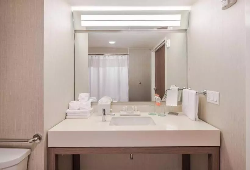 اتاق استاندارد با تخت بزرگ, Courtyard by Marriott Chihuahua