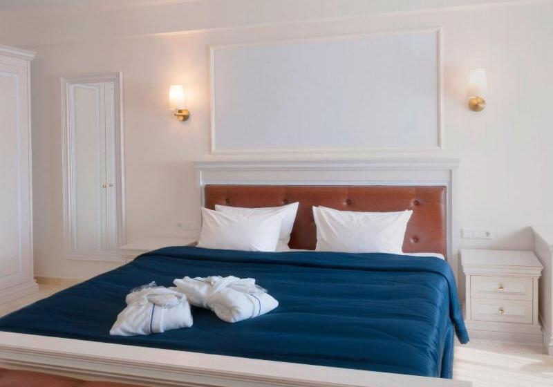 חדר אקונומי, Grand Hotel Palladium